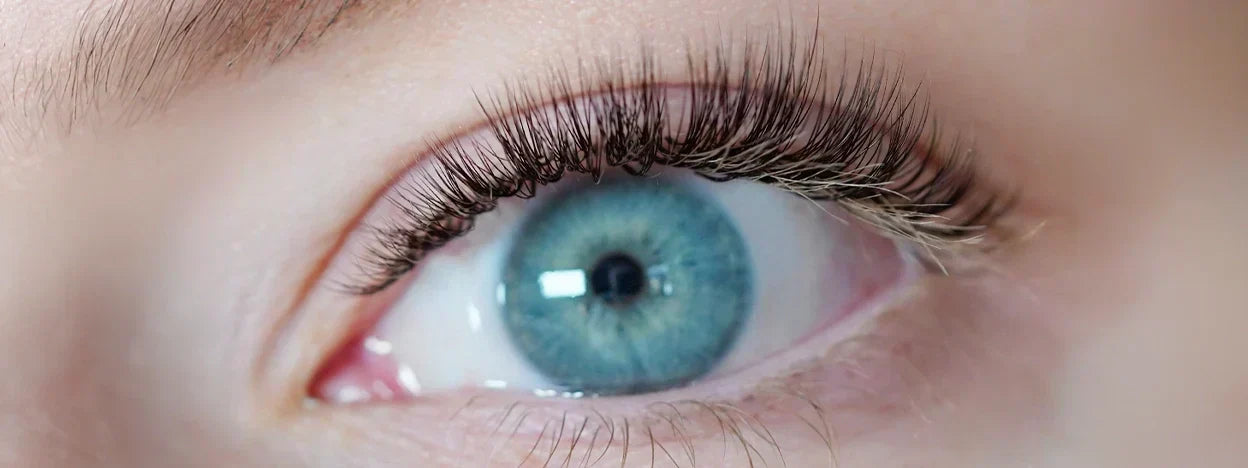 Lash client with blonde natural lashes and a set of eyelash extensions