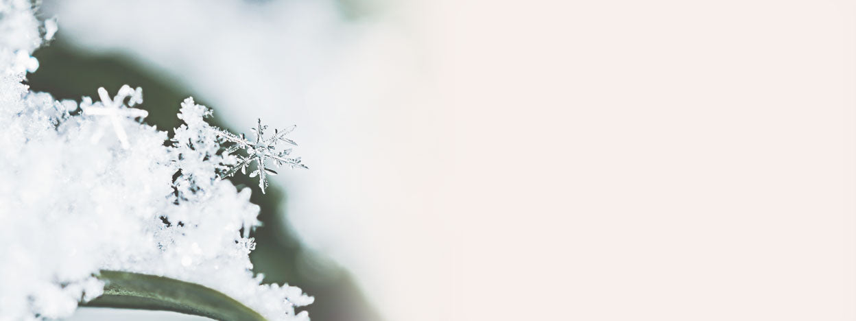 Winter Snowflake Blog Banner