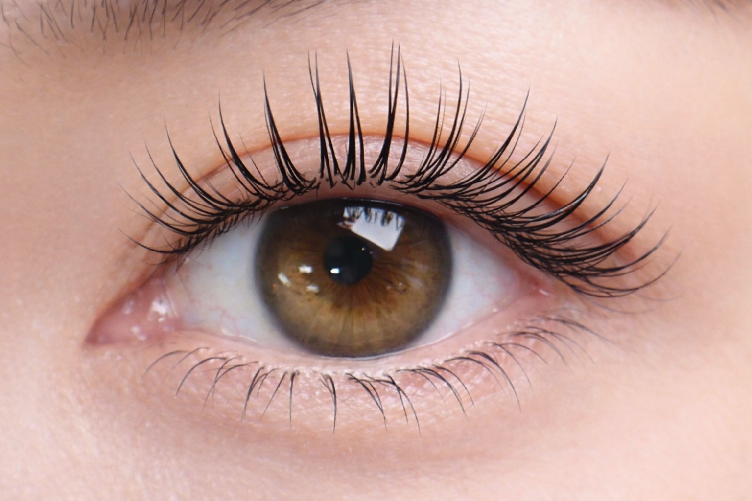 What Japan Taught Me About Lash Extensions — And Why It Changed How I Think About the Industry
