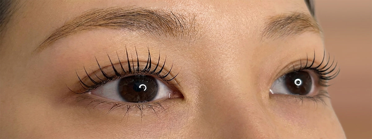 korean lash lift result in a model.