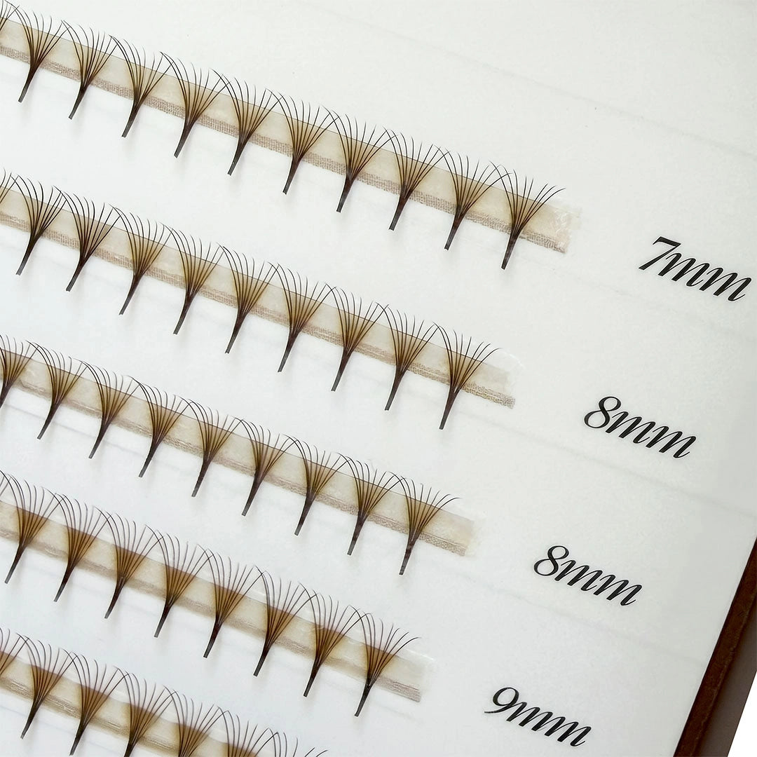 BROWN Narrow Premade/Promade Fans 8D 0.05 720 fans - Mixed Lengths