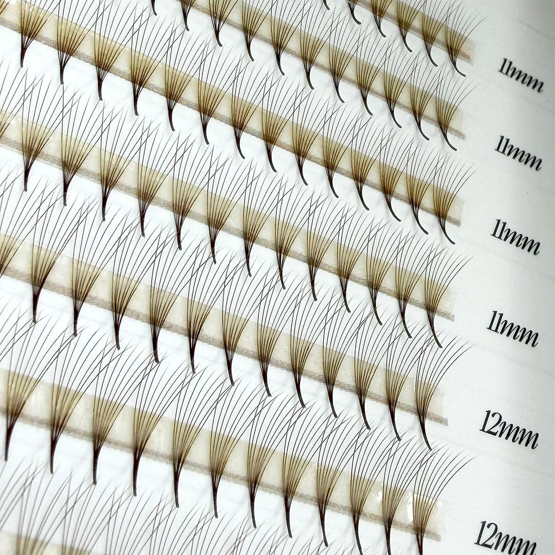 BROWN Narrow Premade/Promade Fans 8D 0.05 720 fans - Mixed Lengths