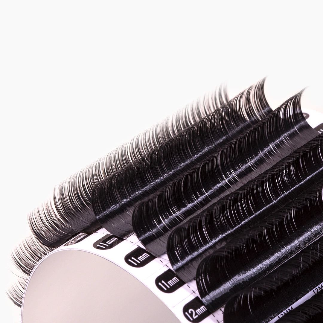 London Lash Chelsea 0.12 strip of lashes showing the curls on a white background