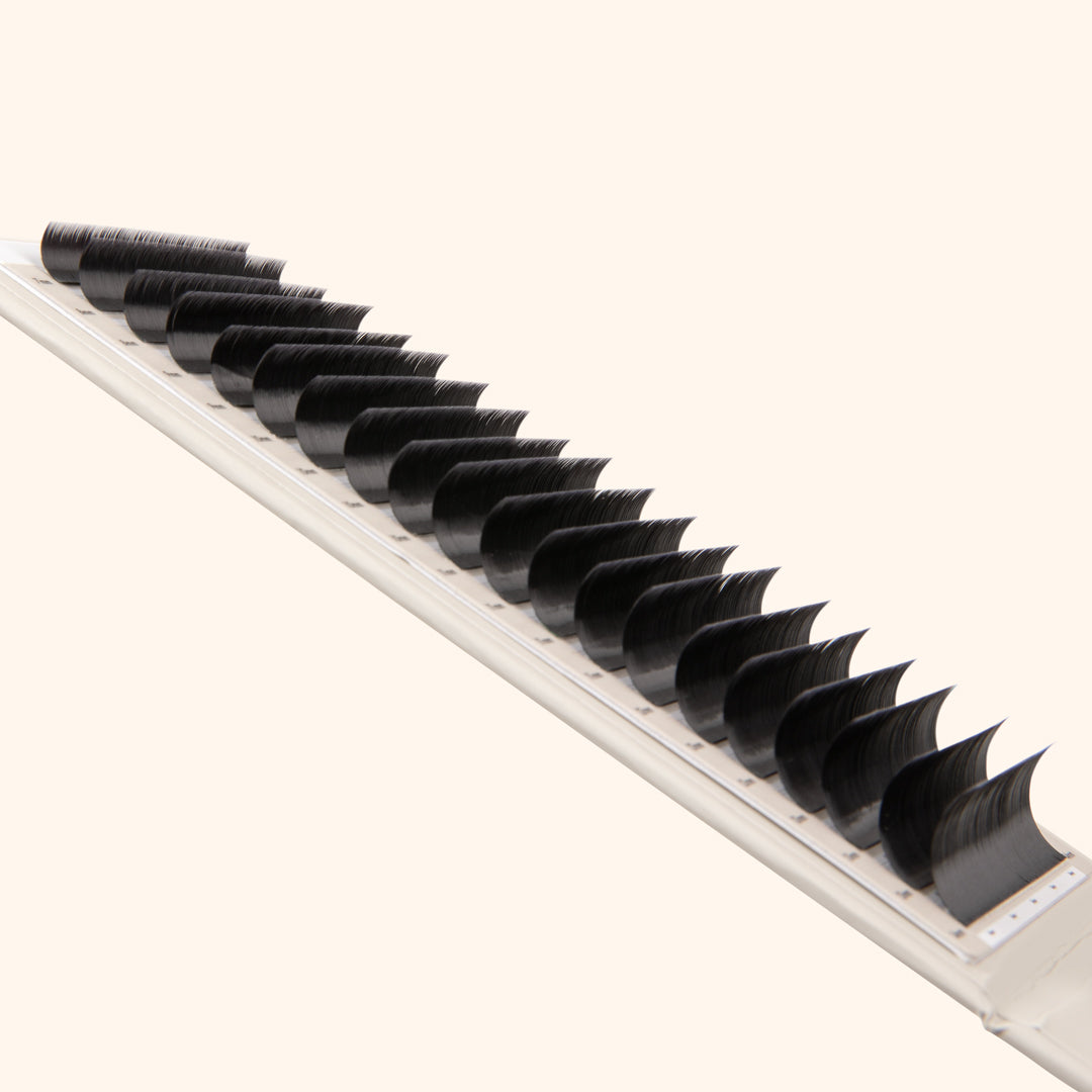 Kensington lashes, volume lash extensions on lash tray, best volume lashes, best eyelash extensions for volume, best Russian volume lashes, best eyelash extensions for volume 0.085