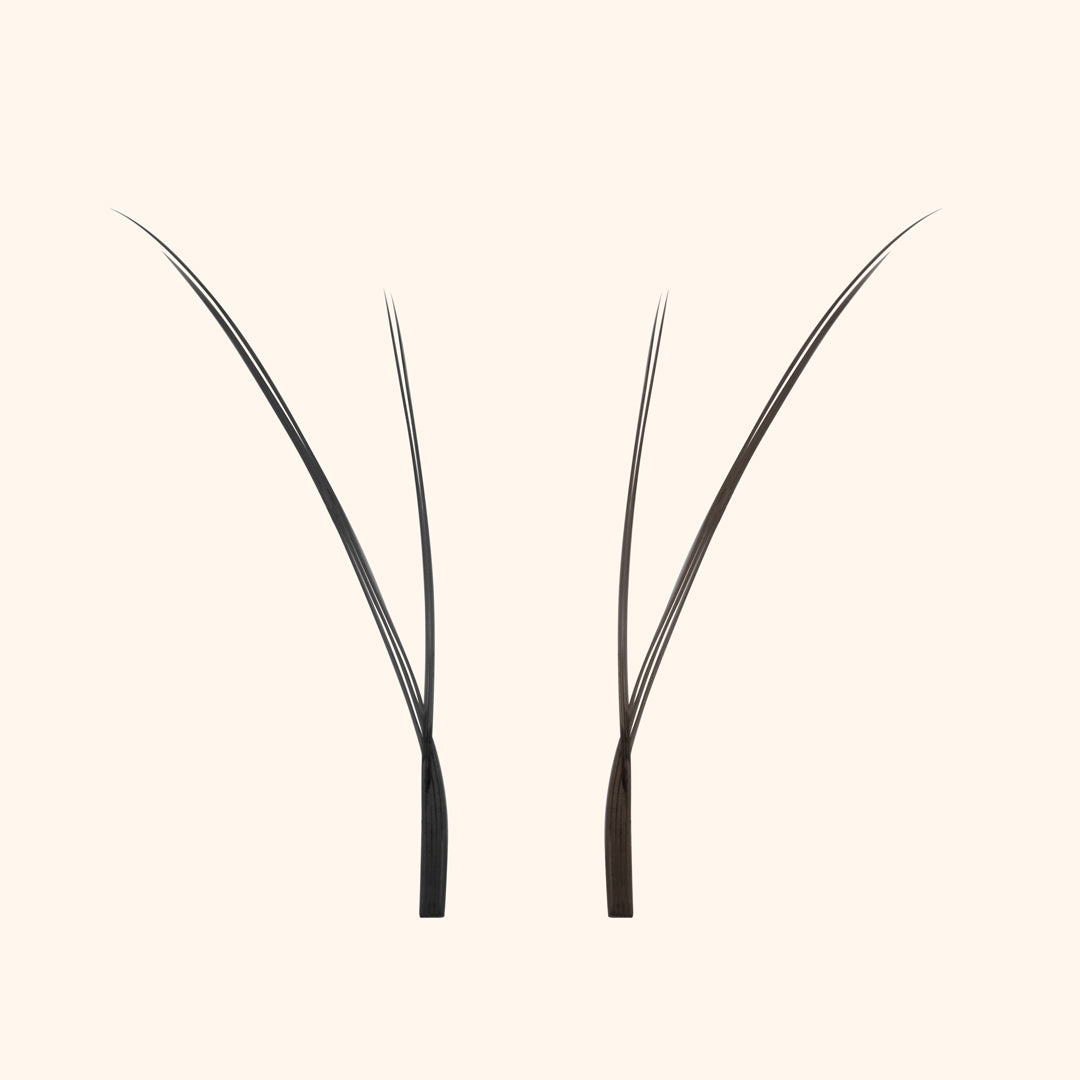 Kitten lashes, black lashes, eyelash extensions, ,lash extensions, cat eye lash extensions, cat eye eyelash extensions, 0.07 eyelash extensions, 0.07 lash extensions 