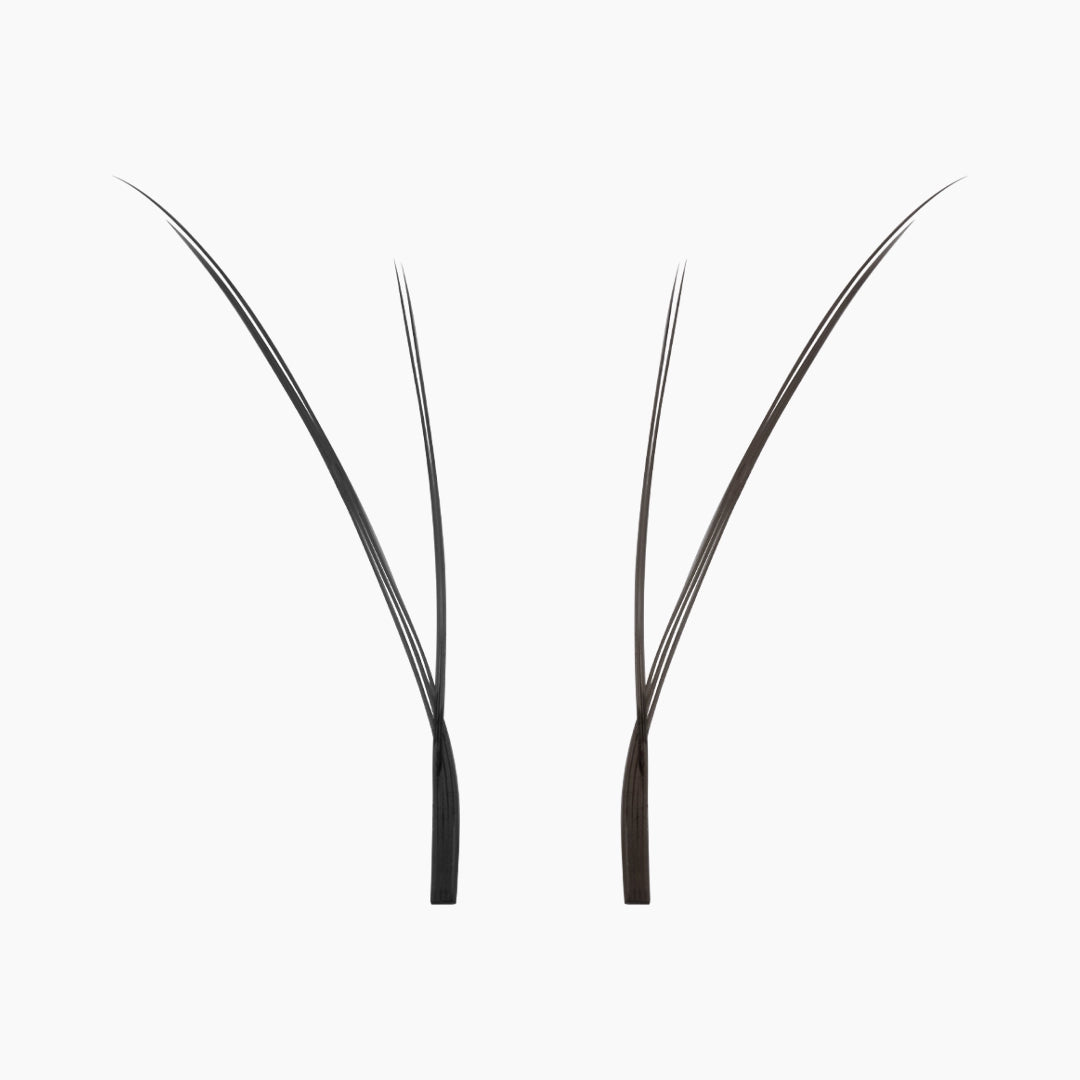Studio close-up of two individual black Kitten Lash extension fans isolated on a white background showing their fine tip structure.