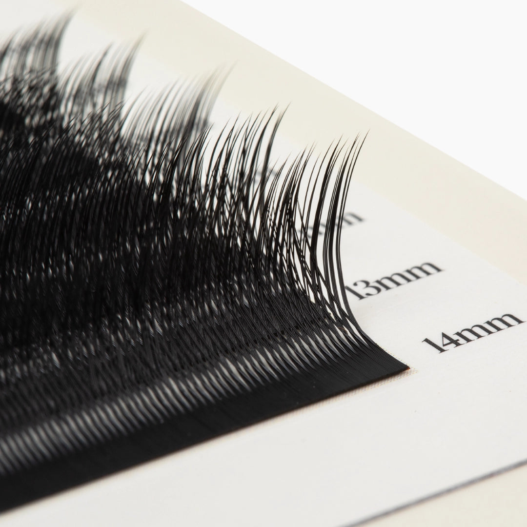 Close-up macro shot of black Kitten Lash extension fibers curving upward on a length-labeled lash strip.