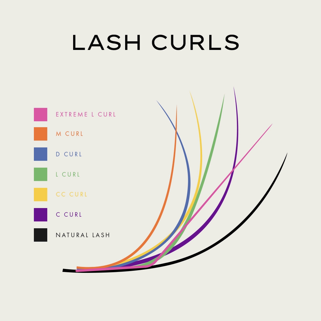 graphic showing the different lash curls available in london lash lashes