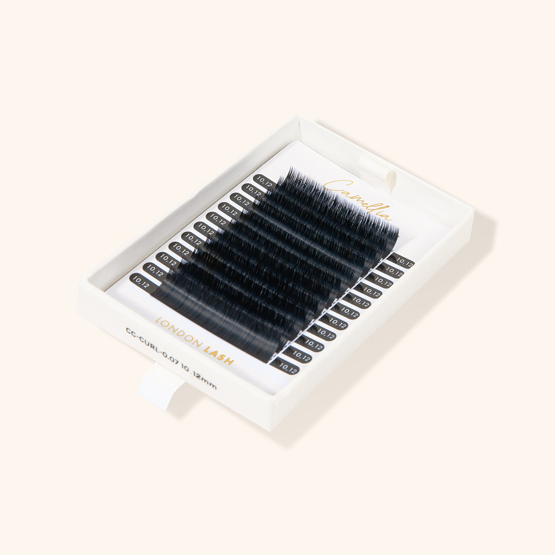 Camellia Easy Fanning Lashes lash extensions