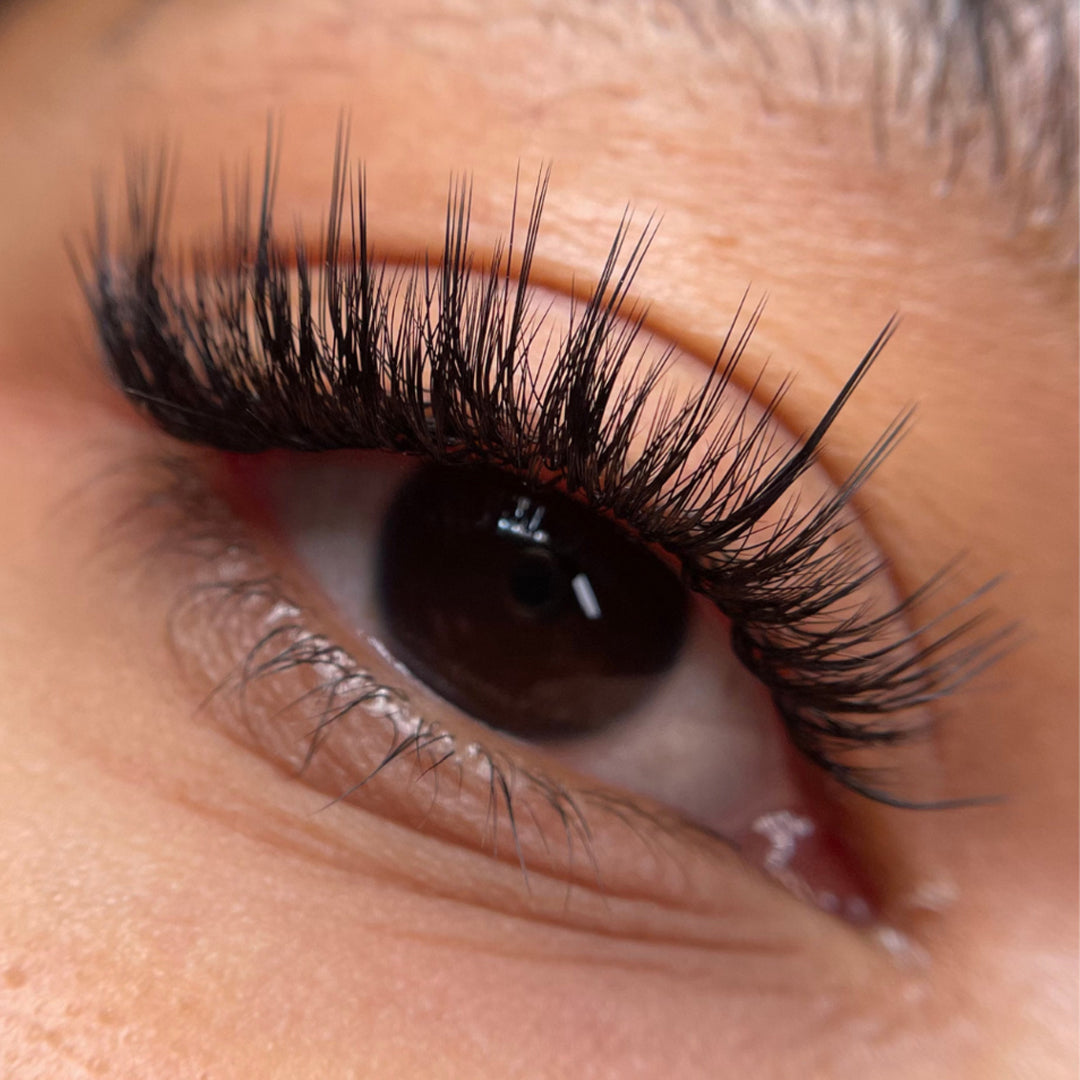 Kensington lashes, volume lash extensions on lash tray, best volume lashes, best eyelash extensions for volume, best Russian volume lashes, best eyelash extensions for volume 0.085