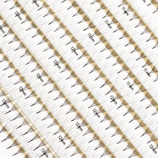 Regular Premade/Promade Fans 5D 0.06 600 fans - Single Sizes - C / 7