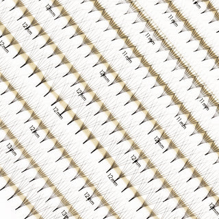 Regular Premade/Promade Fans Mayfair 6D 0.06 600 fans - Single Sizes - C / 7