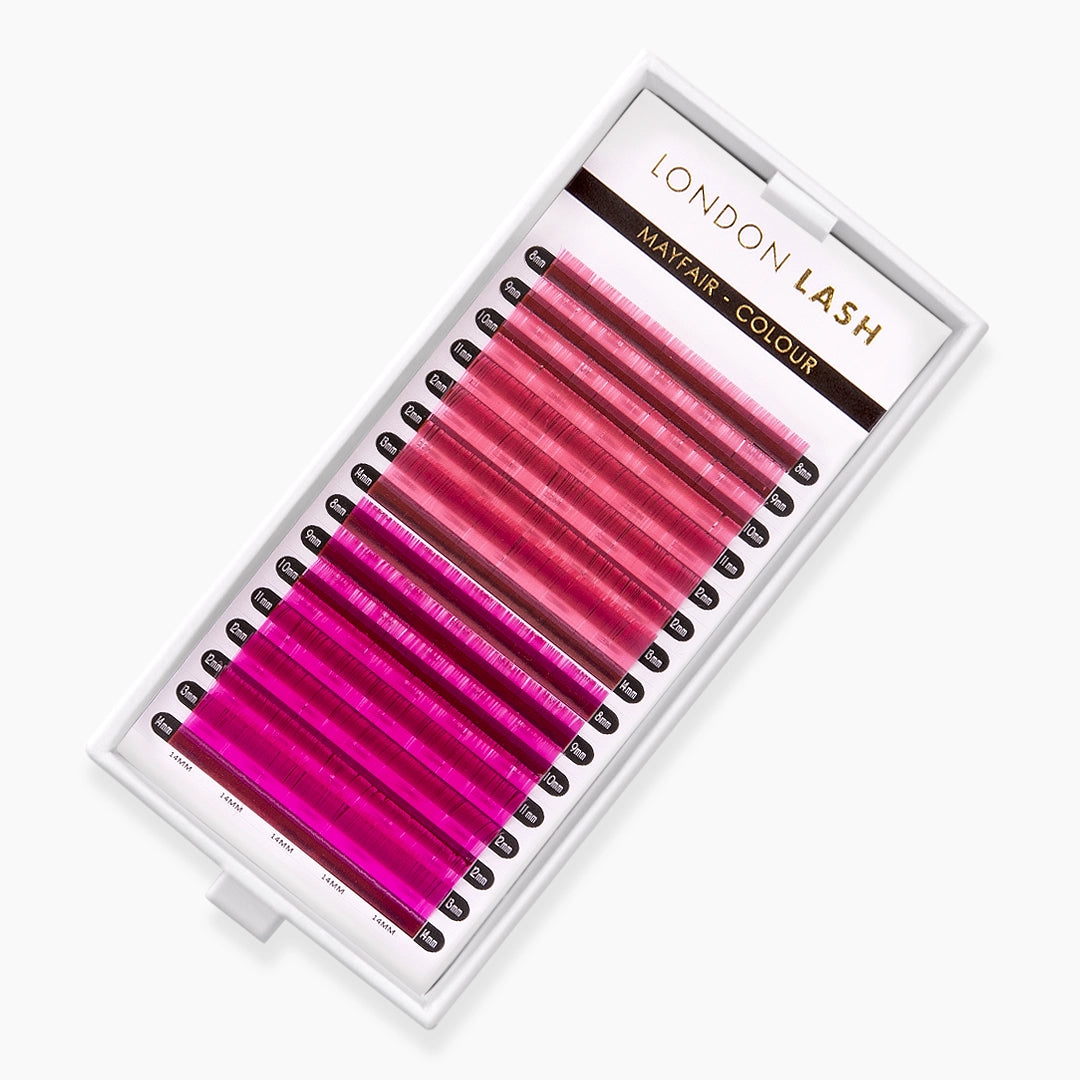 London Lash pink and hot pink faux mink coloured lash extension tray on white background