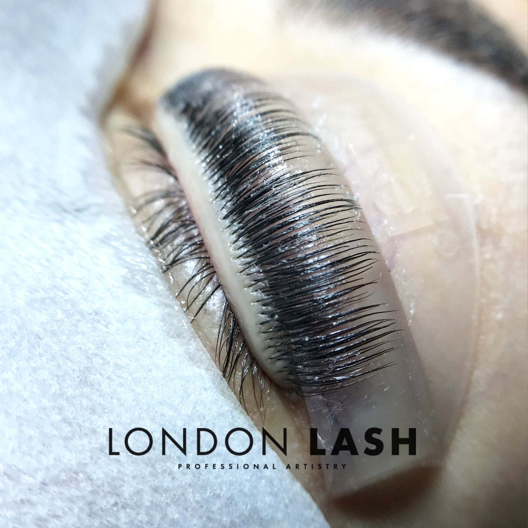 a close up of natural lashes lifted onto a silicone shield during a lash filler treatment